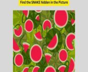 find the snake hidden in the picture.jpg from hidden