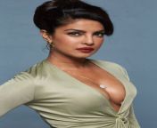 priyanka chopra3 4046.jpg from actress cleavage