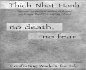 thich nhat hanh no death no fear.jpg from hebe chan src 187