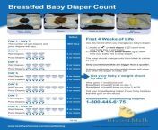 breastfed baby diaper count arkansas department of health.jpg from diapered breastfeeding