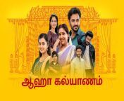 1491228 h 830a0d73826e from tamil serial tv