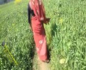 1.jpg from indian village khet sex video