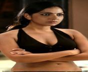 samvrutha sunil hot sexy navel in bikini md.jpg from malayalam actress sunil nude with small