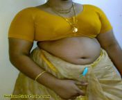 south indian aunty saree navel pics.jpg from telugu aunty saresex
