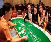 filipinos play online casino.jpg from online gambling in the philippines multiple cryptocurrencies hand lose6262（mini777 io）6060philippines most popular online entertainment hand lose6262（mini777 io）6060philippines exclusive gambling chess game hand lose6262 mini777 io 6060 oig