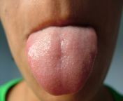 tongue 1550970freeimages.jpg from dirty spit