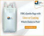 fibcs jumbo bags with liner or coating which choice to pick 1 11zon1671615508.jpg from jumbo kanpur nodiacom