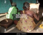 old village women thresh rice to remove chaff in orissa india cwx972.jpg from odisha aunty old village aunty sex 3gp videoww xxx 4 desi mobi com