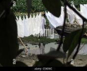 dhaka bangladeshi 03rd aug 2014 a bangladeshi laundry man hangs clothes e5k6wc.jpg from ပုလဲဝင်းအောကားw xxx bangladeshi sex vidiowwwwxxxxxx