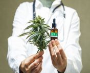 how to find the right cannabis doctor.jpg from doctar marij