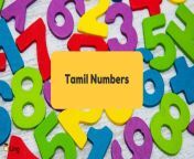 tamil numbers ling app learn tamil numbers.jpg from tamil @123