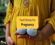 tamil words for pregnancy ling app images.jpg from tamil pregnant