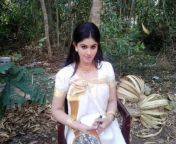 31430959230 9ef51814bd.jpg from malayalam serial tattiyum muttiyum actress bhagyalakshmi sexy and removed the saree