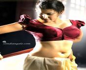 28975874088 91f2f09ae7 z.jpg from telugu heroines sexy images