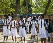 109933774 00b3f9a67f b.jpg from sri lankan school school uniform remove and