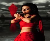 isha chawla hot red saree stills 06.jpg from www xxx com bsramakavali telugu move vido songies angla na xxx