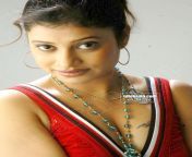 shobananaidu13.jpg from actress asin sexn aunty nighty dras