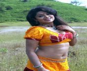swathi verma tamil mallu aunty sexy pics 5.jpg from mallu maxi hot auntys