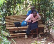 mulilodsc08911.jpg from bush sex in muliro garden kenya