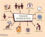 top employee benefits programs.png from provide employees with a wealth of promotion channels and career development opportunities hgjpt company focuses on employee job satisfaction and welfare benefits to improve employee loyalty pwdv