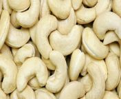 european union puts focus on cashew sector for sustainable production and economic development webp from naija ghana