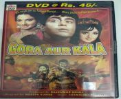 gora aur kala hindi movie dvd www macsendisk com 1.jpg from gora aur manushya chudachudi