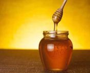 health benefits of taking honey before night sleep in marathi 75772171 jpgimgsize40368width1200height900resizemode75 from 16 honey marathi
