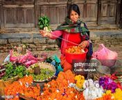 nepali street seller selling flowers and vegetables in patan nepal jpgs612x612wgik20cplg0vbso7sqzaz1hstcsw avpzy4c khbbmu2c t vs from nepali desi s
