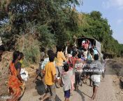 indian flood victims run towards a relief truck distributing food at sunkesula village of jpgs612x612wgik20csrzaj1un 3qbmktgczqvsa9v1becx4blivklexhdhry from kurnool vill