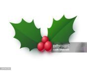 realistic holly berry icon christmas symbol jpgs612x612wgik20cbtsqn5otdys v4udtgnx8 tv4wmplf5x4wjbl2o5gci from houx dx xx