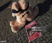 berlin germany a notice poster reading kidnapped and showing infant siblings emma and yuli jpgs612x612wgik20ceuawfftaino tbed dzzd1xubjn4jlxbo f4erhgy1g from kidnapped tied up