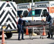 united states october 8 a woman was pronounced dead on scene after she was found unconscious jpgs612x612wgik20cprmwmxvr7o86spylskmyqkz3mwyi9bizaasaxoobacm from unconscious hauls