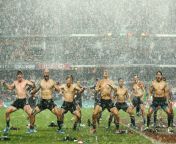sex love life 2014 04 new zealand rugby team shirtless dance main.jpg from » haka sex