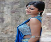 1432962899 actress vimala raman hot n spicy south indian glamour girl.jpg from slim indian teens