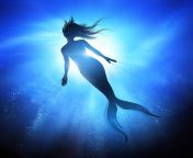 swimming.mermaid under the waves jpgs612x612w0k20c9aooaamjqnit5pambzmnzoxldg9mx3jq1fb43hlku.m from sirens jpg