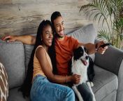shot of a happy young couple sitting on the sofa at home with their border collie and jpgs612x612w0k20cdhyjxkhd93cnihdskqkgjcx462npz 601qjgox 2fdi from hairy young couple