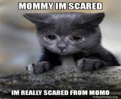 mommy im scared e862d5514a.jpg from mommy scared