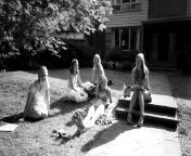 cline virgin suicides.jpg from virgin sister page