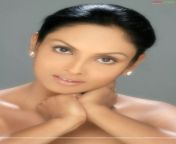 jyothirmayi16.jpg from malayalam actress jyothirmayi sex videosla hot dipjol rape m