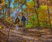 large fall hikes feature unparalleled views 5bdb4ebfb5b35.jpg from mo fall