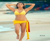thumb cmsmsid55240664width500resizemode4 from hot photos of alia bhat without clothes