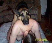 1c9hwzlytpe22ckzhmifrsq jpeg from dogsex with woman