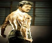 sunil telugu actor six pack photos stills pictures images 0304.jpg from sunil six pack body neked sex