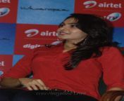 actress andrea jeremiah new pictures viswaroopam press meet 6dc1f74.jpg from actress andria at vishwaroopam airtel dth launch jpg