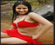 telugu actress hot photos 016.png from telugu side acterss hot sexy aunty