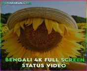 bengali 4k full screen status video.jpg from view full screen fsiblog bengali busty ipshita with her lover mms mp4 jpg