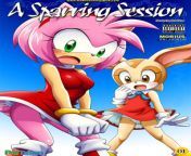 a sparring session 1 jpgitok0 k73xrs from cartoon sex sonic