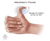 23118 hitchhikers thumb from thumbsn