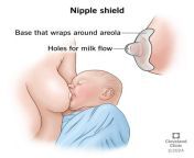 22130 nipple shield from breastfeeding nipples