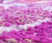 hjira 8x5 ft 255x16 m moroccan colorful rug 100 wool handmade 620400 300x300 jpgv1630585489 from hjira